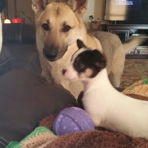 Meet your Posher, Jane